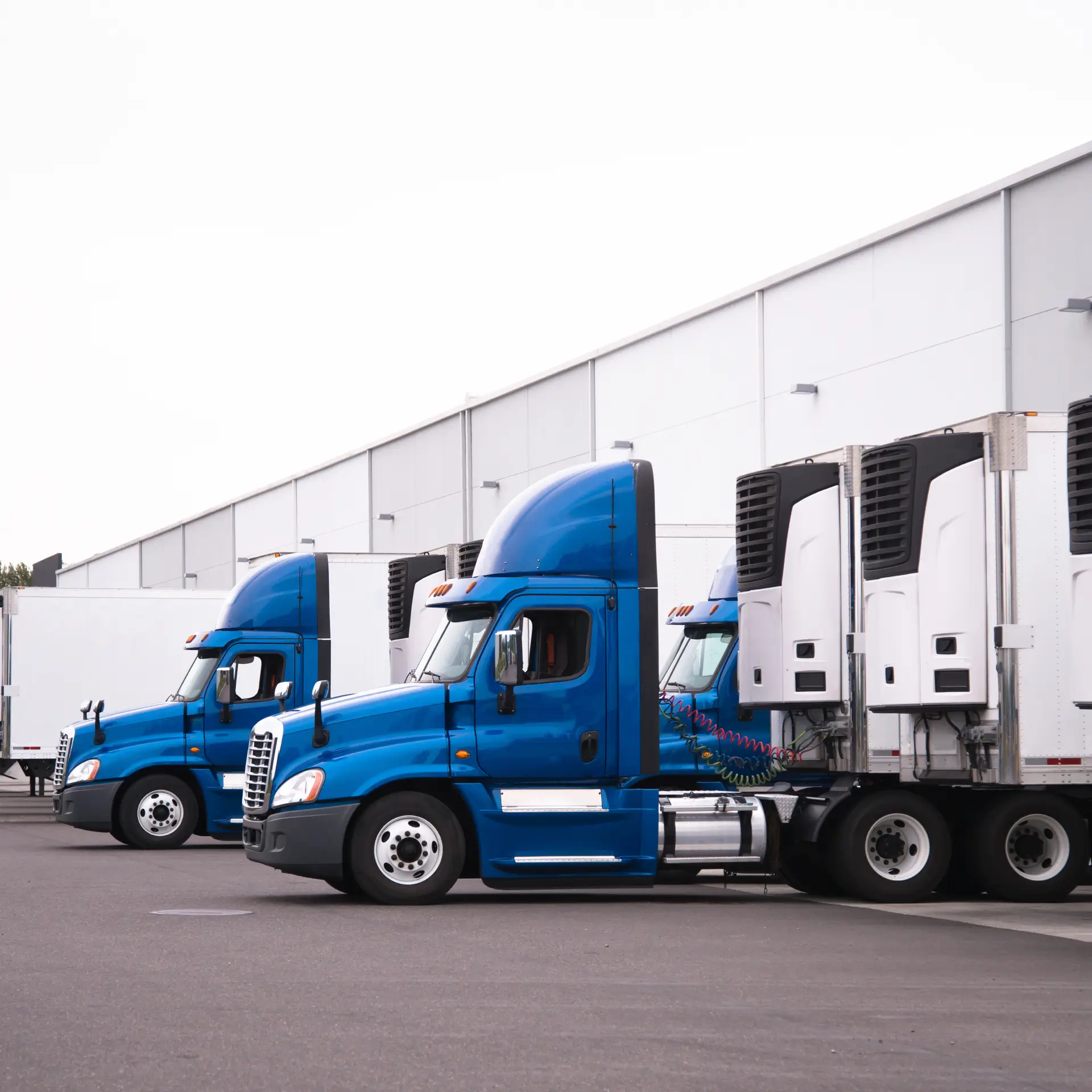 Refrigerated Truck at Diamond Fulfillment Solutions